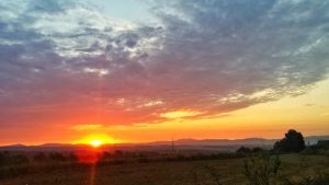 Bon dia